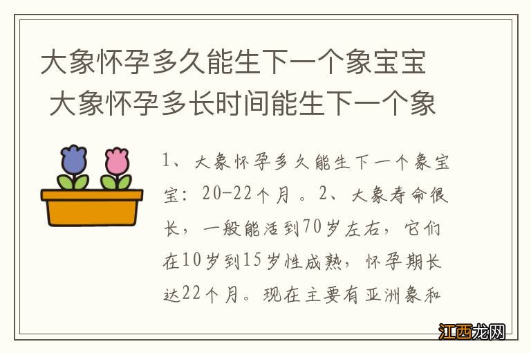 大象怀孕多久能生下一个象宝宝 大象怀孕多长时间能生下一个象宝宝