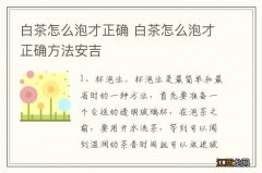 白茶怎么泡才正确 白茶怎么泡才正确方法安吉