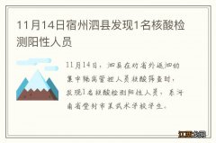 11月14日宿州泗县发现1名核酸检测阳性人员