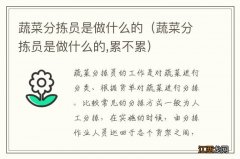 蔬菜分拣员是做什么的,累不累 蔬菜分拣员是做什么的