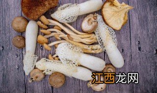 干花菇炖多久能熟 鲜香菇炖多长时间能熟