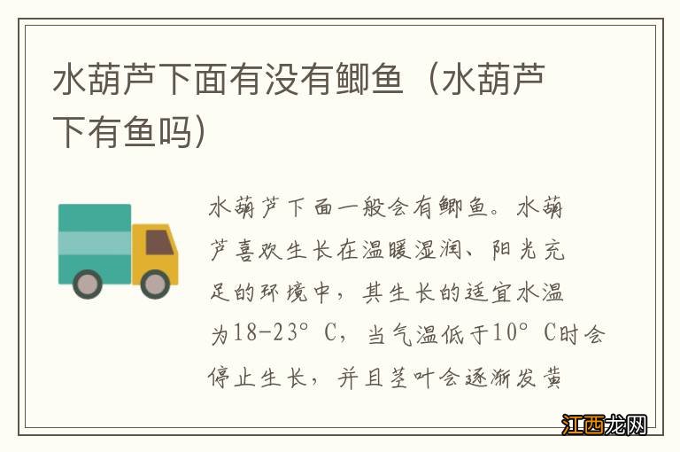 水葫芦下有鱼吗 水葫芦下面有没有鲫鱼