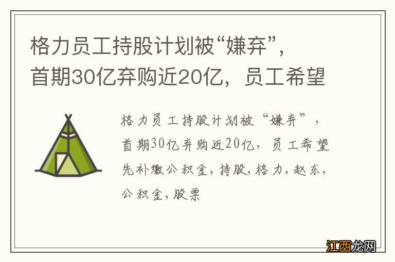 格力员工持股计划被“嫌弃”，首期30亿弃购近20亿，员工希望先补缴公积金