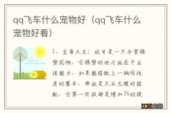 qq飞车什么宠物好看 qq飞车什么宠物好