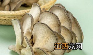 大量白蘑菇怎么保存新鲜 新鲜的白蘑菇怎么保存