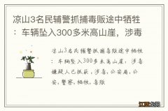 凉山3名民辅警抓捕毒贩途中牺牲：车辆坠入300多米高山崖，涉毒嫌疑人已抓获