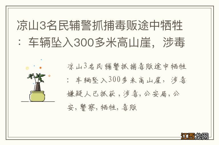 凉山3名民辅警抓捕毒贩途中牺牲：车辆坠入300多米高山崖，涉毒嫌疑人已抓获