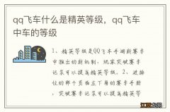 qq飞车什么是精英等级，qq飞车中车的等级