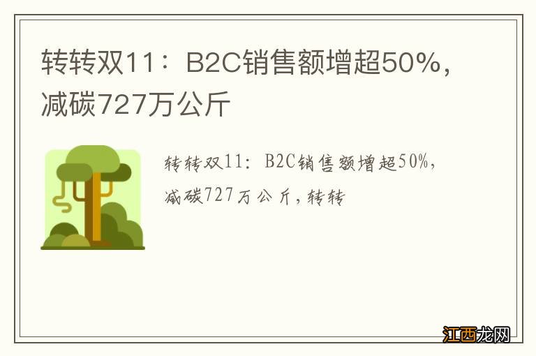 转转双11：B2C销售额增超50%，减碳727万公斤