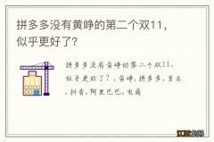 拼多多没有黄峥的第二个双11，似乎更好了？