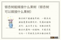 银杏树可以嫁接什么果树 银杏树能嫁接什么果树