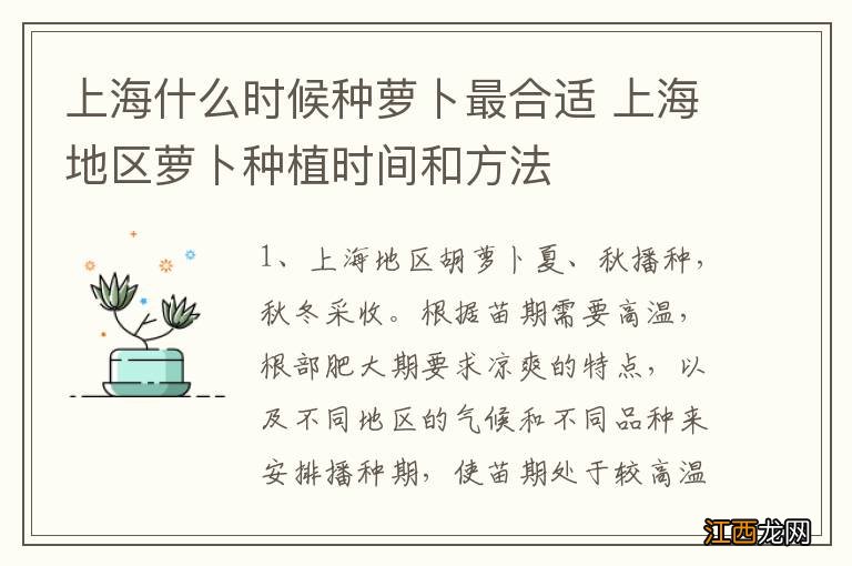 上海什么时候种萝卜最合适 上海地区萝卜种植时间和方法