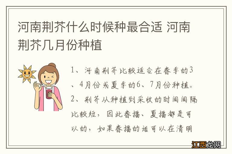 河南荆芥什么时候种最合适 河南荆芥几月份种植