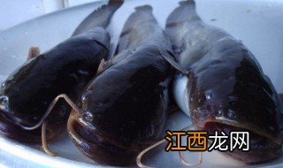 胡子鲶鱼的做法大全 胡子鲶鱼的做法有哪些