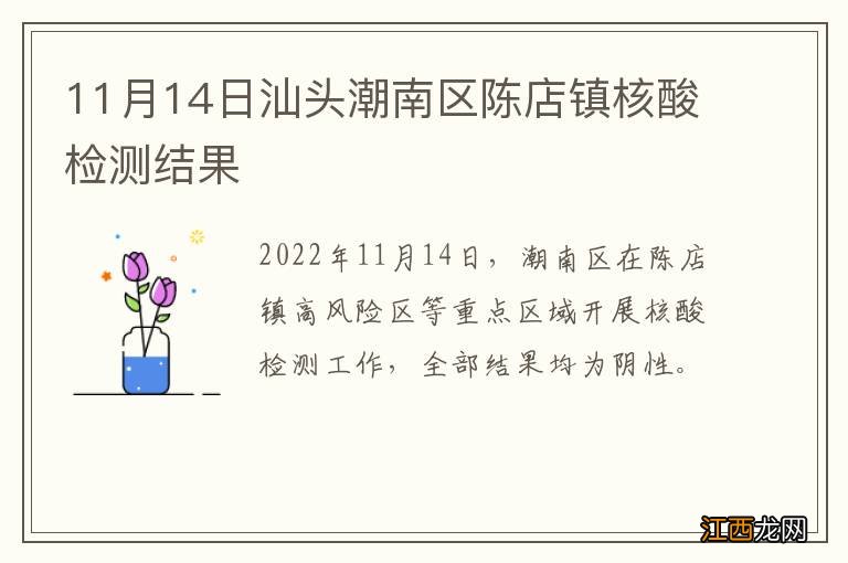 11月14日汕头潮南区陈店镇核酸检测结果