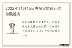 2022年11月15日惠东安墩镇开展核酸检测