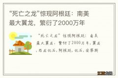 “死亡之龙”惊现阿根廷：南美最大翼龙，繁衍了2000万年