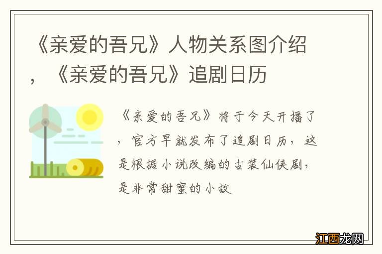 《亲爱的吾兄》人物关系图介绍，《亲爱的吾兄》追剧日历