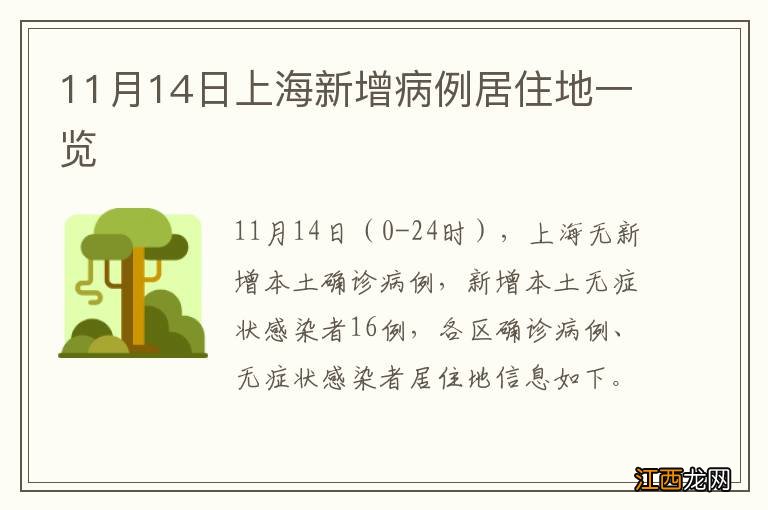 11月14日上海新增病例居住地一览