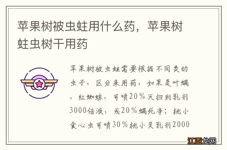 苹果树被虫蛀用什么药，苹果树蛀虫树干用药