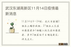 武汉东湖高新区11月14日疫情最新消息