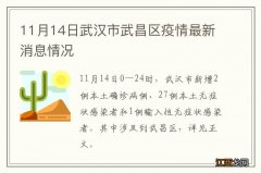 11月14日武汉市武昌区疫情最新消息情况