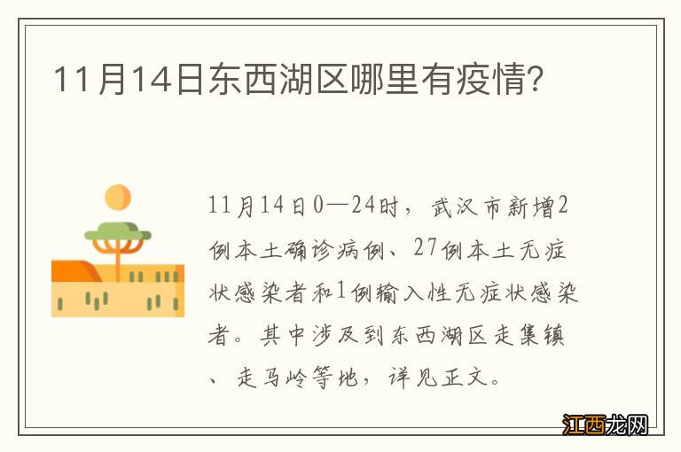 11月14日东西湖区哪里有疫情？