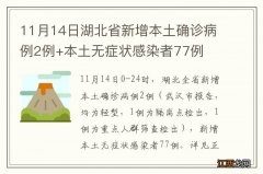 11月14日湖北省新增本土确诊病例2例+本土无症状感染者77例