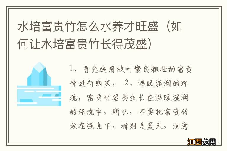 如何让水培富贵竹长得茂盛 水培富贵竹怎么水养才旺盛