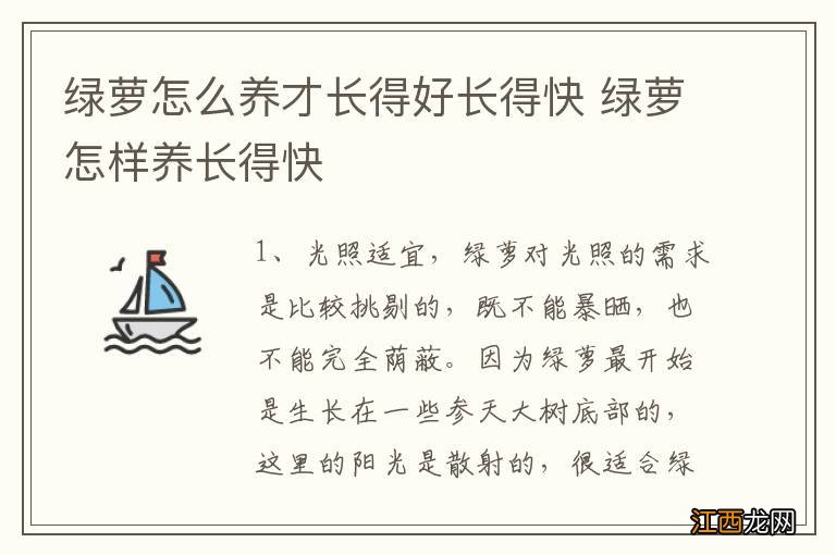 绿萝怎么养才长得好长得快 绿萝怎样养长得快