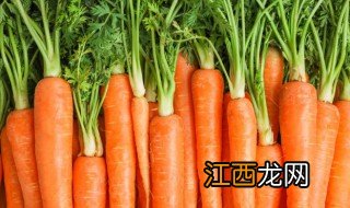 牛肉炖胡萝卜 牛肉炖胡萝卜的烹饪方法