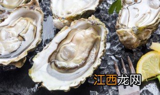 蒸海蛎子 蒸海蛎子的烹饪方法