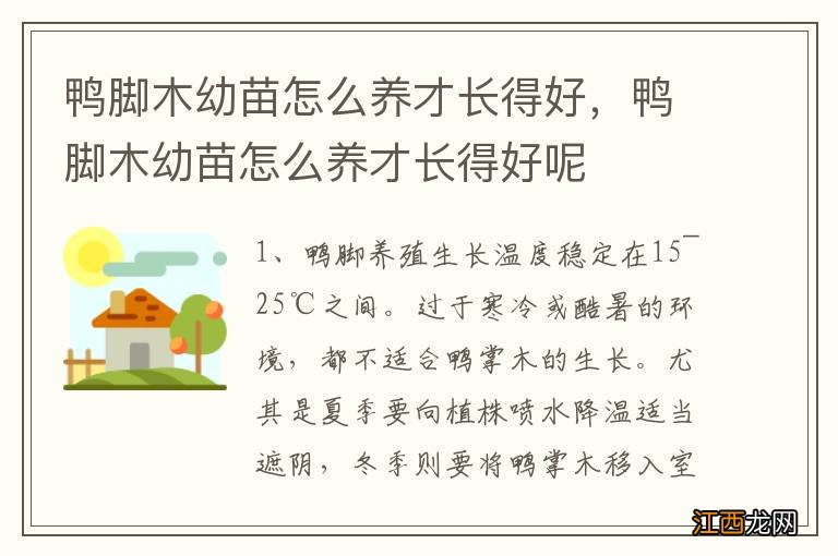 鸭脚木幼苗怎么养才长得好，鸭脚木幼苗怎么养才长得好呢