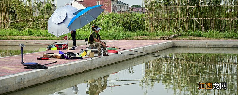 鱼塘蓝藻爆发的原因是什么 鱼塘蓝藻爆发的原因是什么引起的