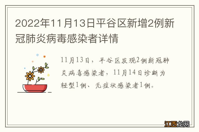 2022年11月13日平谷区新增2例新冠肺炎病毒感染者详情