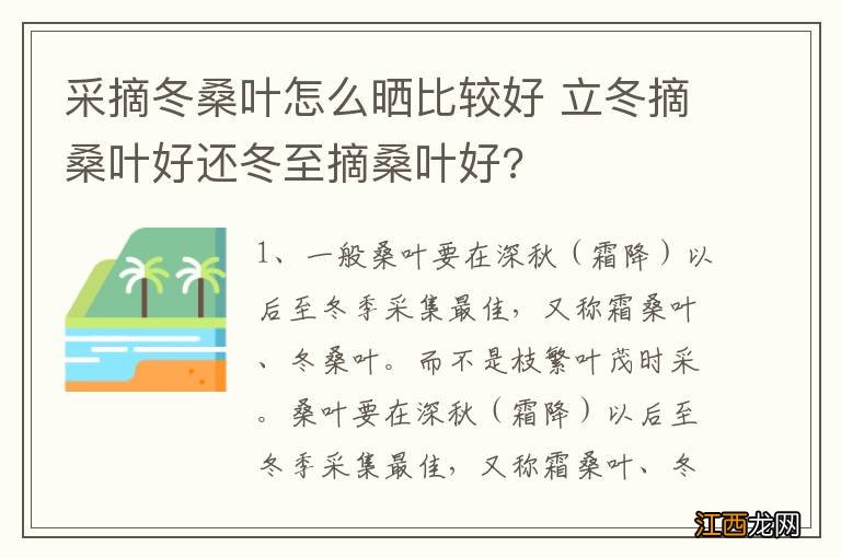 采摘冬桑叶怎么晒比较好 立冬摘桑叶好还冬至摘桑叶好?