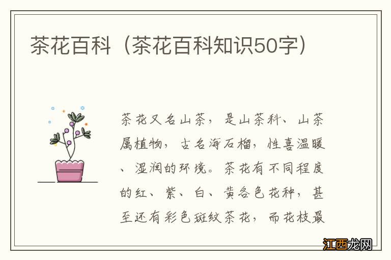 茶花百科知识50字 茶花百科