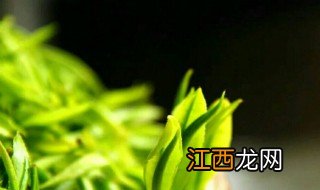 黄金茶是什么茶 黄金茶介绍