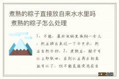 煮熟的粽子直接放自来水水里吗 煮熟的粽子怎么处理