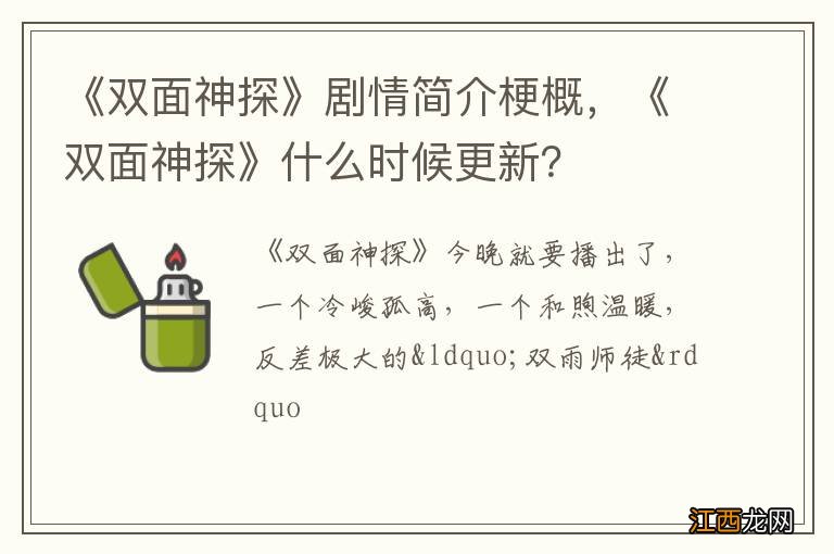 《双面神探》剧情简介梗概，《双面神探》什么时候更新？