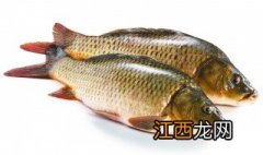 河鲤鱼怎么钓 河鲤鱼钓法