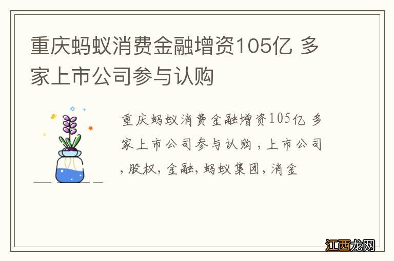 重庆蚂蚁消费金融增资105亿 多家上市公司参与认购