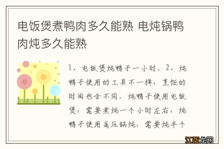 电饭煲煮鸭肉多久能熟 电炖锅鸭肉炖多久能熟