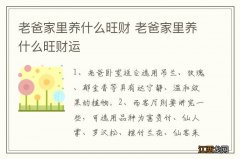 老爸家里养什么旺财 老爸家里养什么旺财运