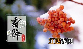 24节气霜降是什么意思 霜降的简介