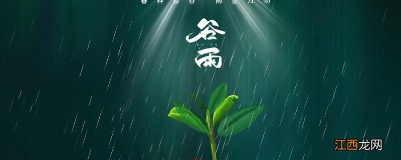 谷雨有什么特点 关于谷雨的简单介绍