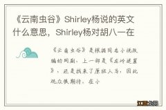 《云南虫谷》Shirley杨说的英文什么意思，Shirley杨对胡八一在表白