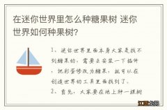 在迷你世界里怎么种糖果树 迷你世界如何种果树?