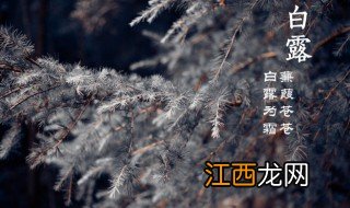 24节气白露的含义是什么 关于24节气白露的含义