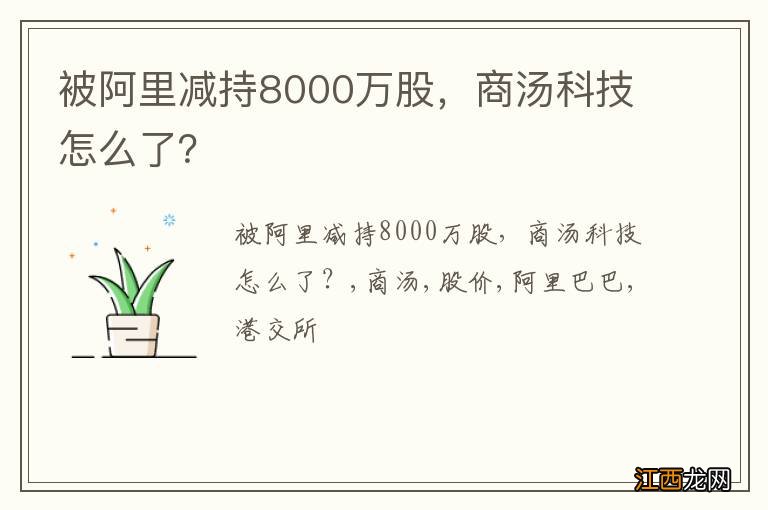 被阿里减持8000万股，商汤科技怎么了？